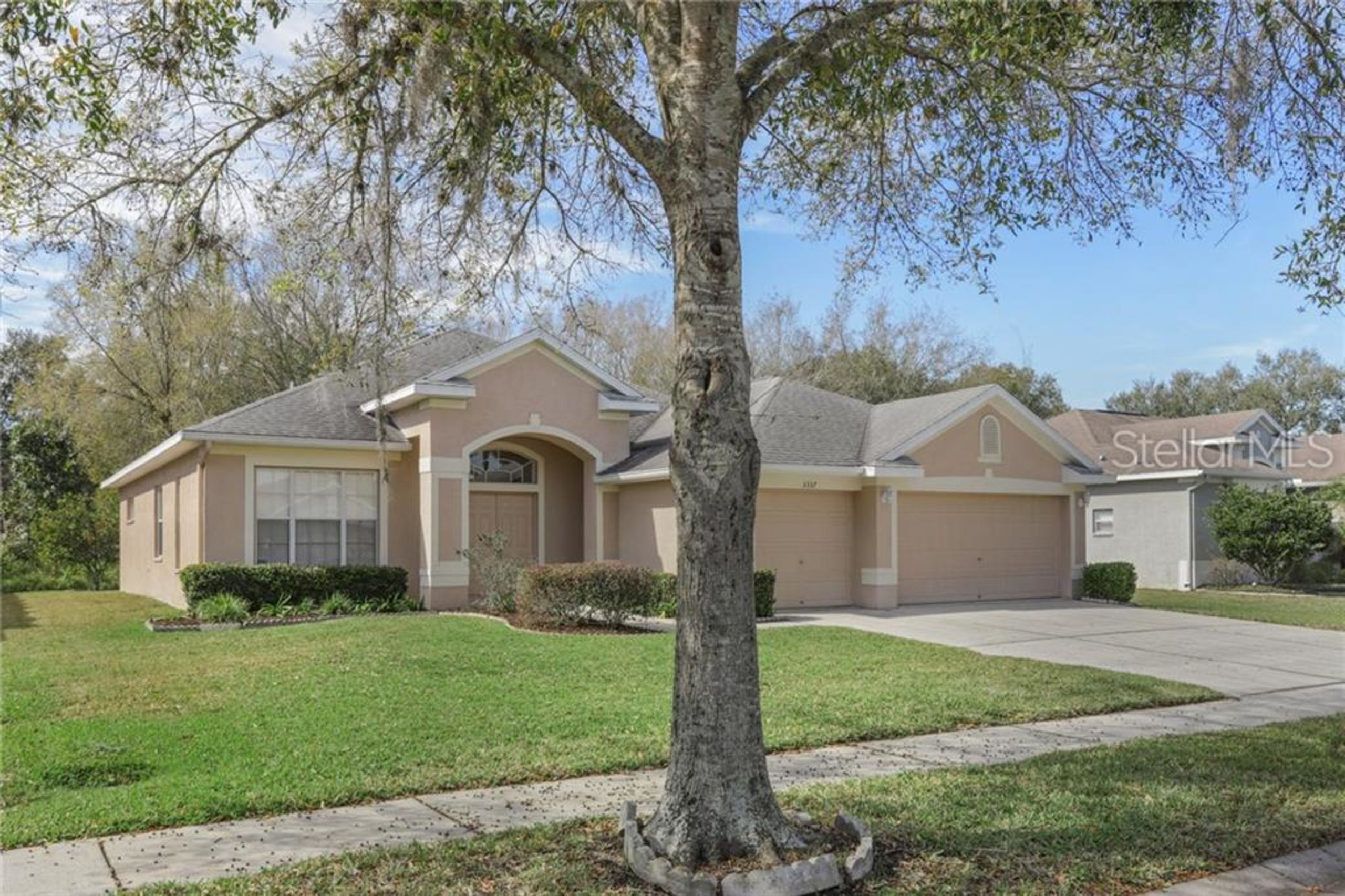 Wesley Chapel New Listings Melissa Dugal