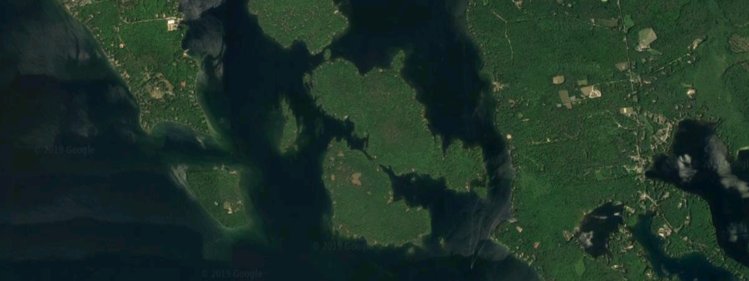 Cow Island Restaurant Lake Winnipesaukee All About Cow Photos