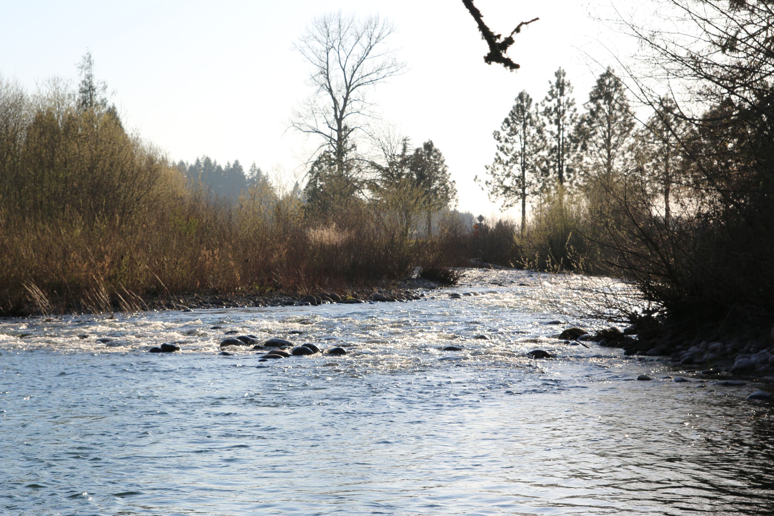 Heritage Nw Real Estate Inc