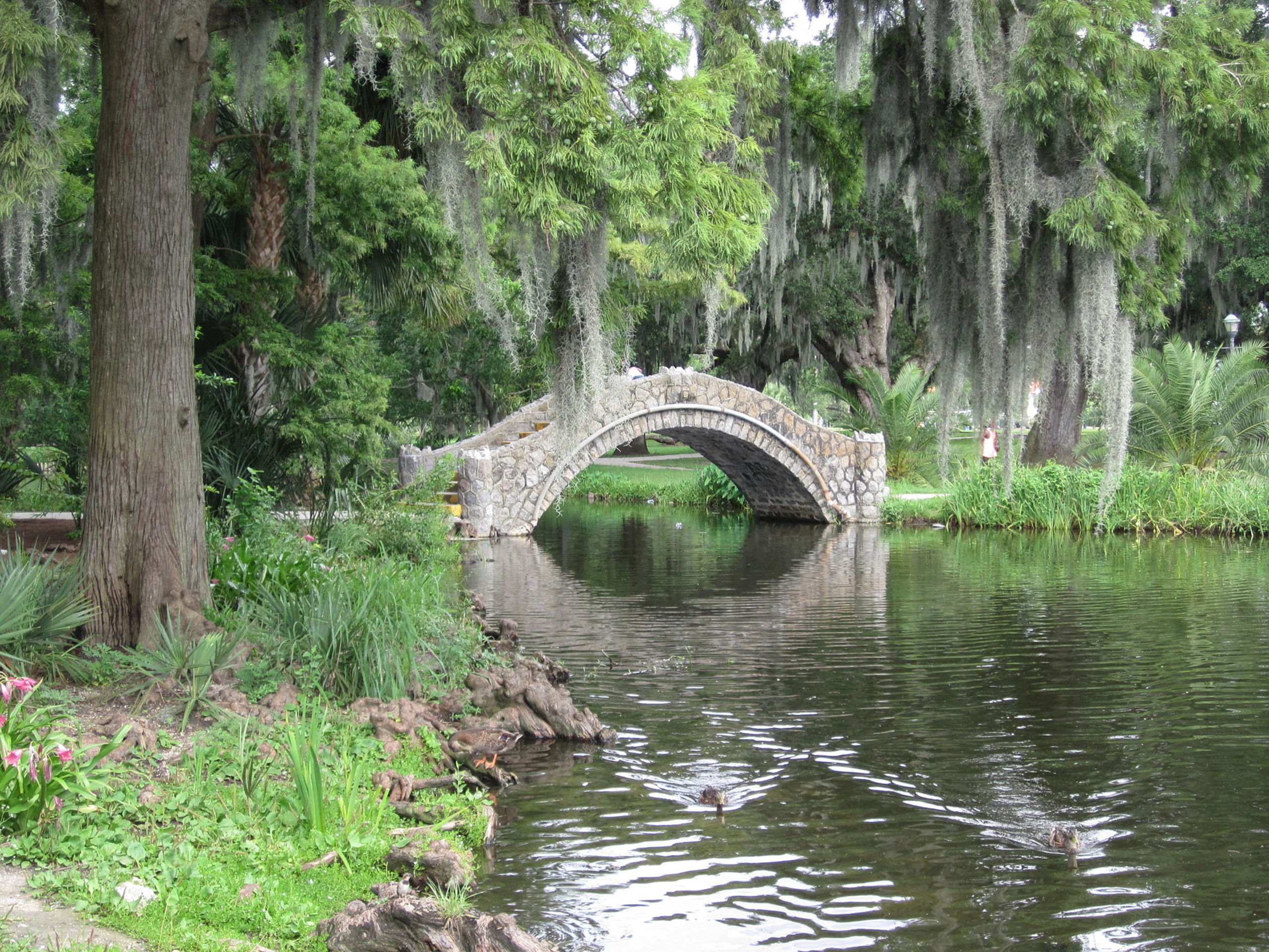 Explore the beautiful City Park in New Orleans
