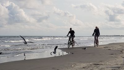 Best Cities to Retire in South Carolina