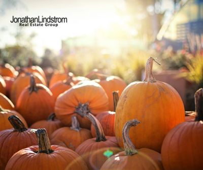 SEVER&#8217;S FALL FESTIVAL