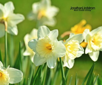 Spring Sellers Have an Edge. Here’s Why.