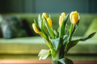 Staging Secrets Help Sell Your Home Faster