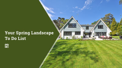 Your Spring Landscape To-Do List