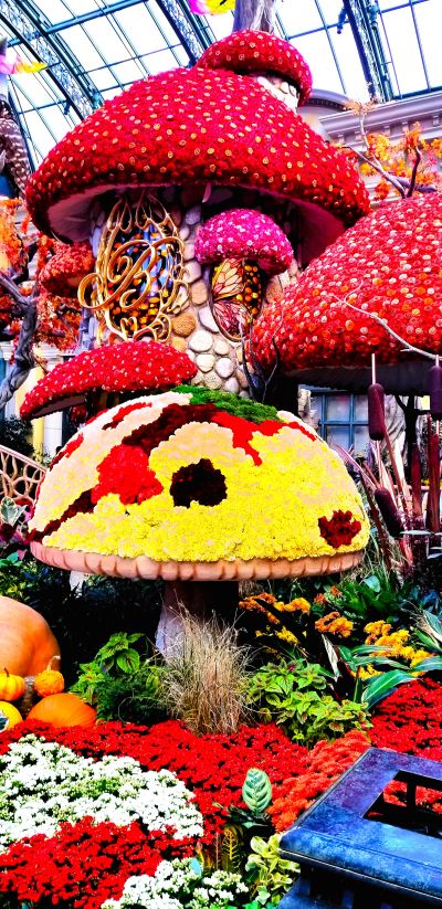 FALL Y’ALL, Lanterns, Holiday Market &amp; More Oh My!