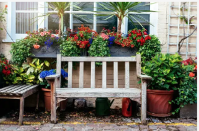 Front Yard Curb Appeal