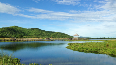 Sustaining Paradise: Local Initiatives &#038; Resources for Eco-Conscious Living on the Indian River Lagoon