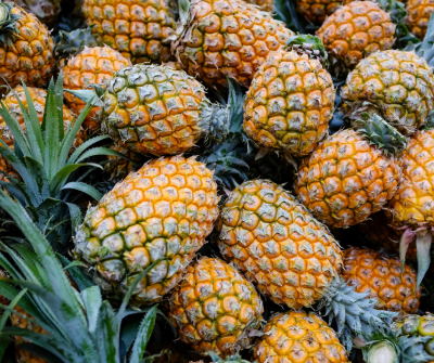 The Last of the Pineapple Kings: A Profile on the Last Vestige of Jensen Beach’s Forgotten Agricultural Past
