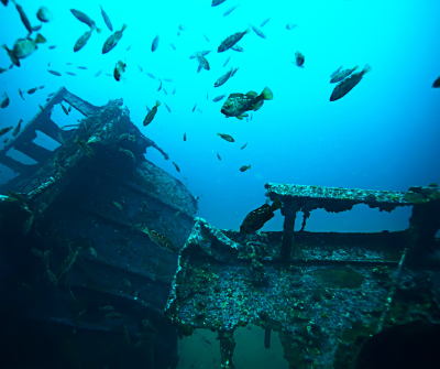 The $100 Million Shipwreck: Where the Real Treasure Lies Today (and Why Local Beach Erosion is Uncovering it)