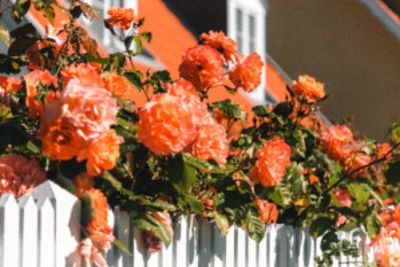 Spring is the Prime Time to Sell Your Home