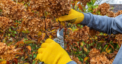 Getting Your Yard Ready For October