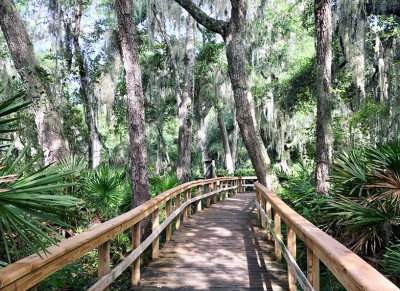 Hiking Trails in Jacksonville