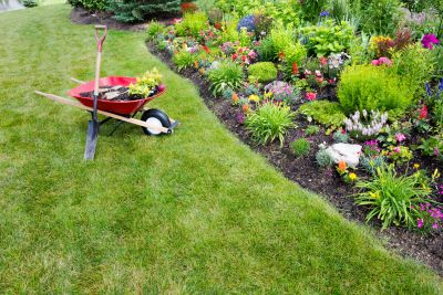 Home Gardening Wherever You Can