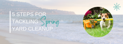 5 Steps for Tackling Spring Yard Cleanup