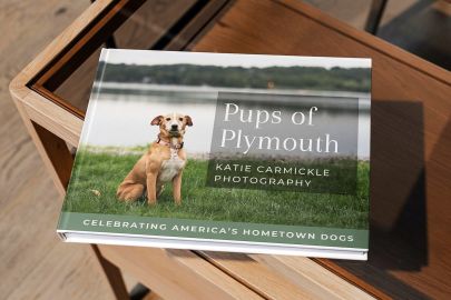 Will your dog be featured in Pups of Plymouth?