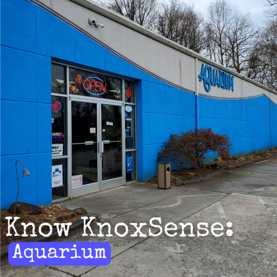 Know Knoxsense: Aquarium