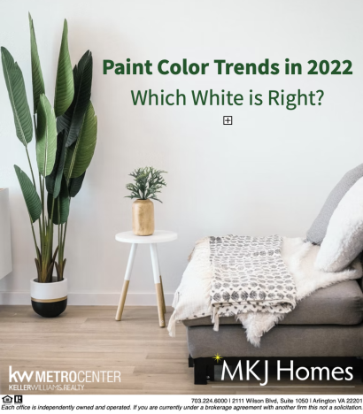 Which White is Right? A Guide to Painting Your Walls