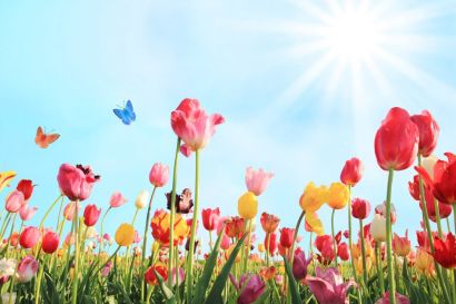 UPCOMING LOCAL EVENTS &#8211; Montgomery County, PA