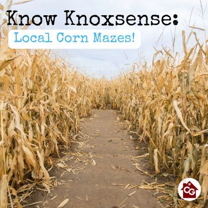 Know Knoxsense: Local Corn Mazes