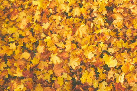 3 Reasons to Sell Your Home in the Fall