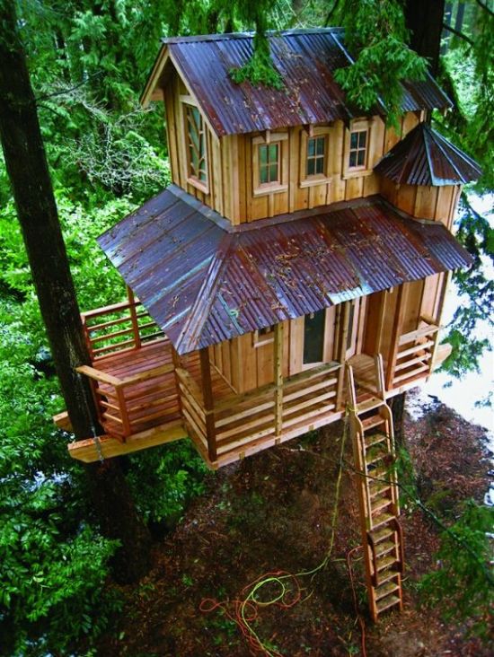 Extreme Treehouses, Not Just for Kids