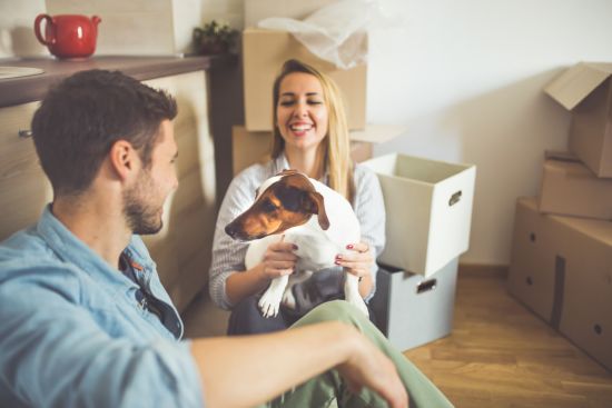 Moving with Our Furry Friends