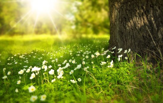 Is Spring Truly The Best Time To Sell Your House?