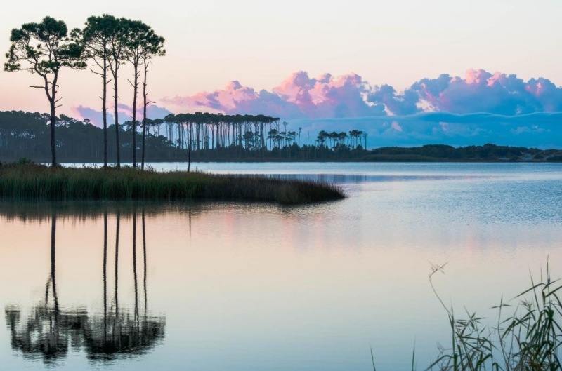 Grayton Beach Homes For Sale