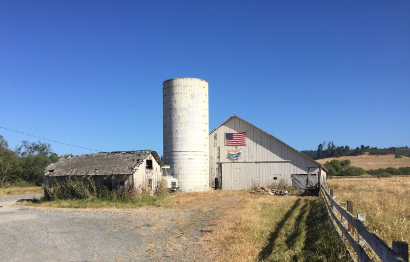 Sebastopol Area Real Estate