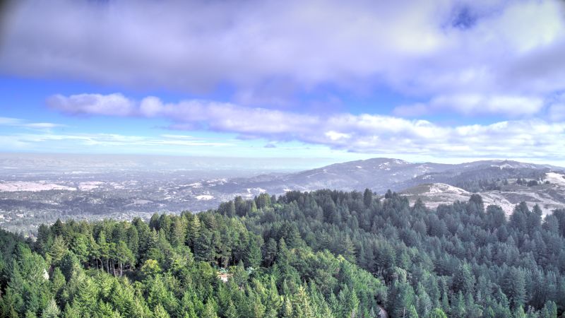 Los Altos