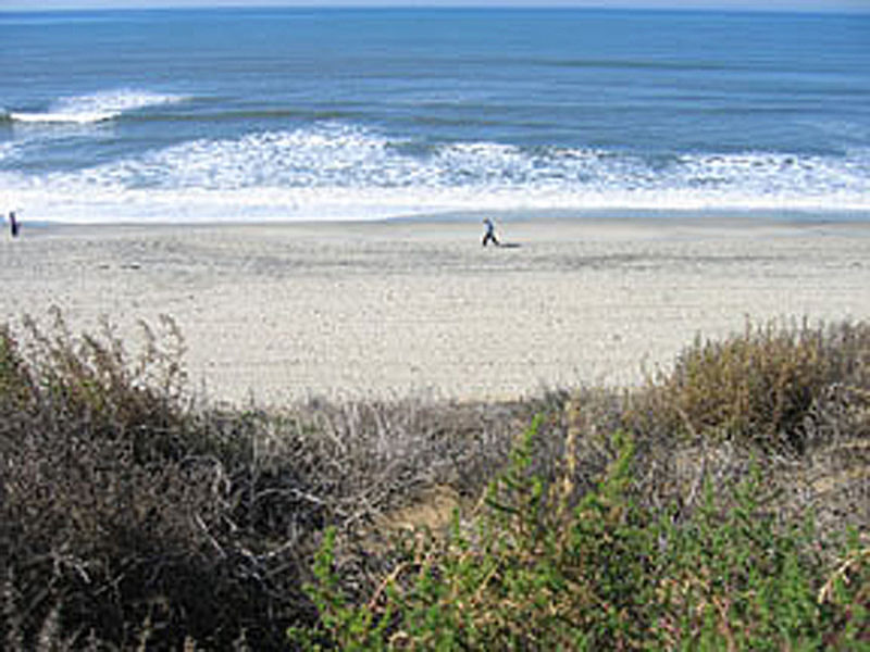 Homes for Sale in Carlsbad