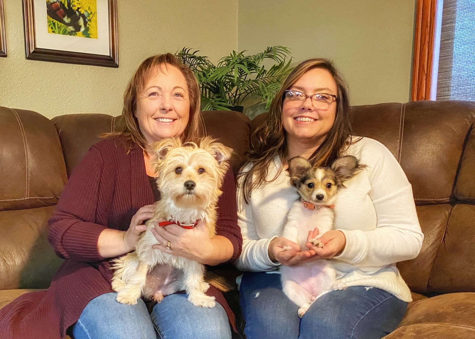 WANT TO A REAL ESTATE AGENT? Top Itasca County Realtors