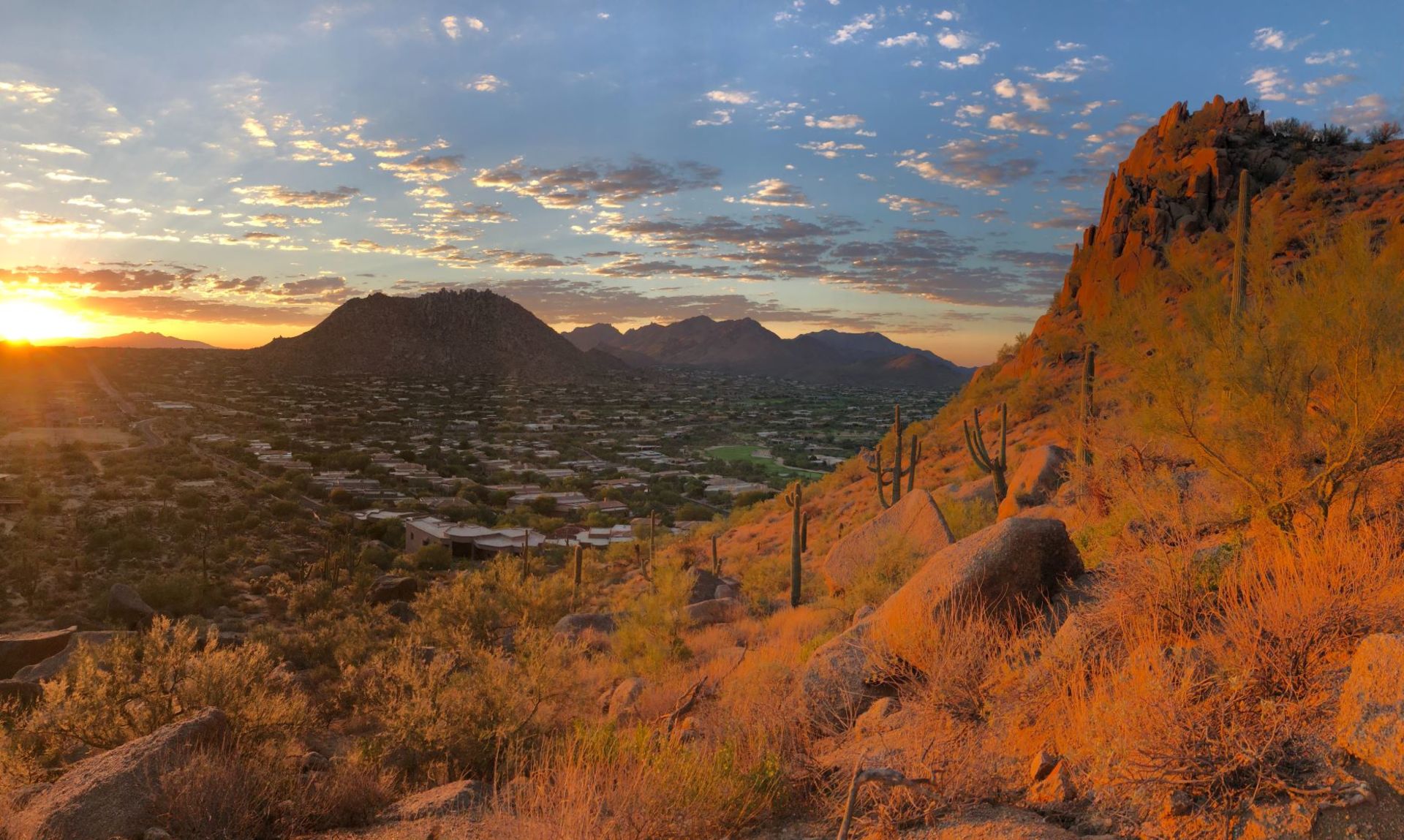 Scottsdale | Terri King, REALTOR - Terri King, AZ Realtor
