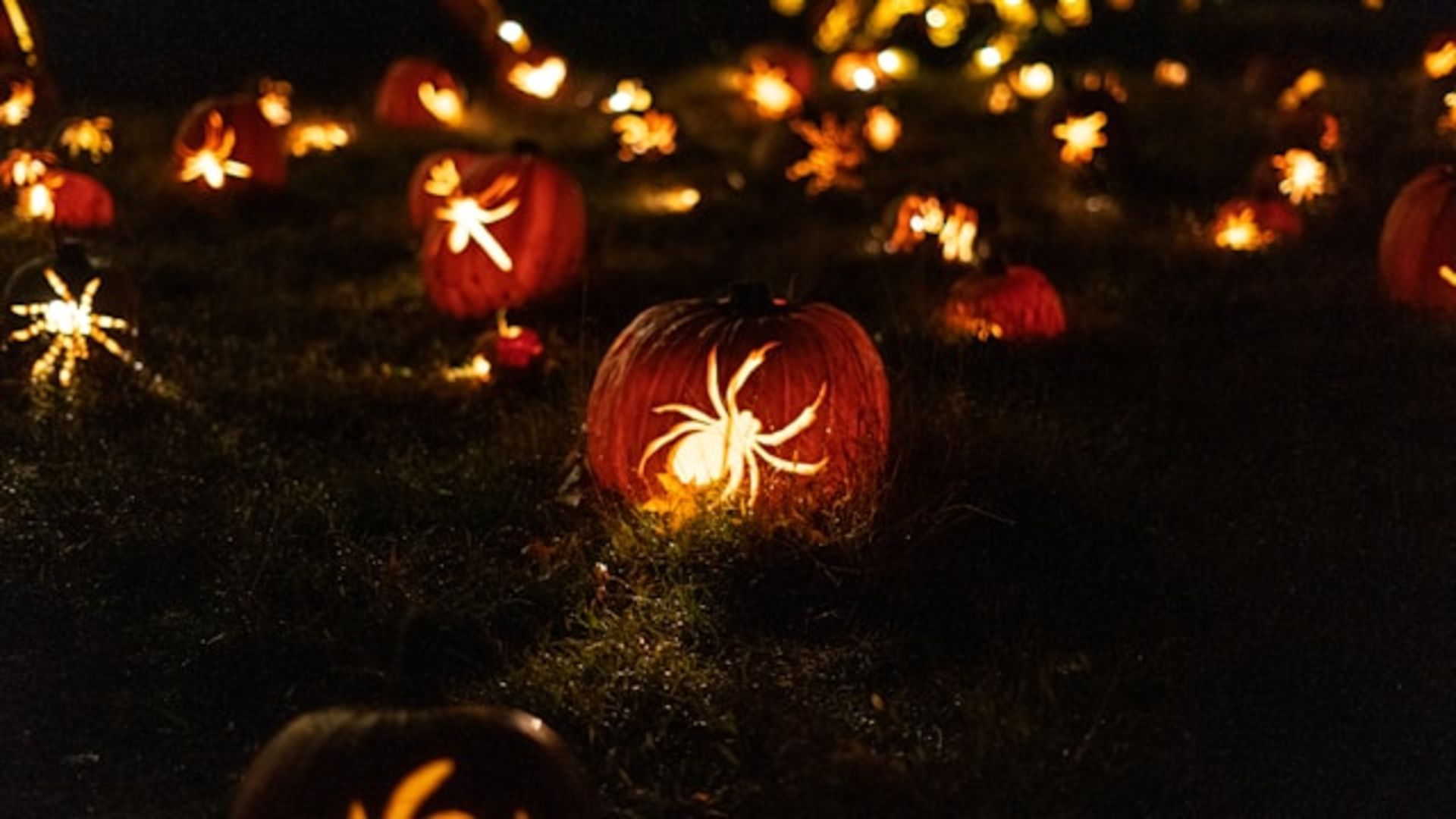 Best Halloween Activities Around Rochester, NY Keller Williams Realty