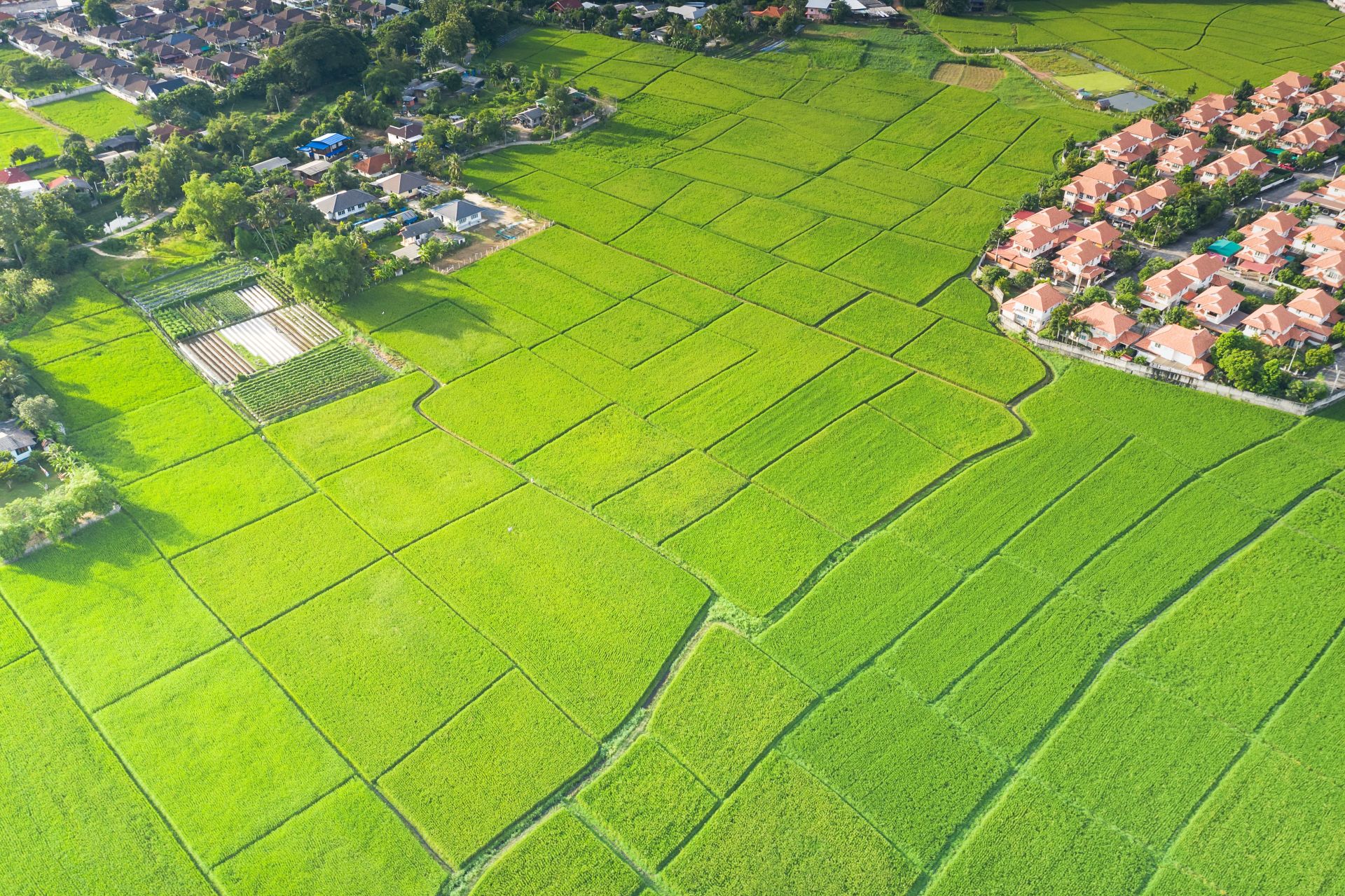 Land Lots The company with a purpose
