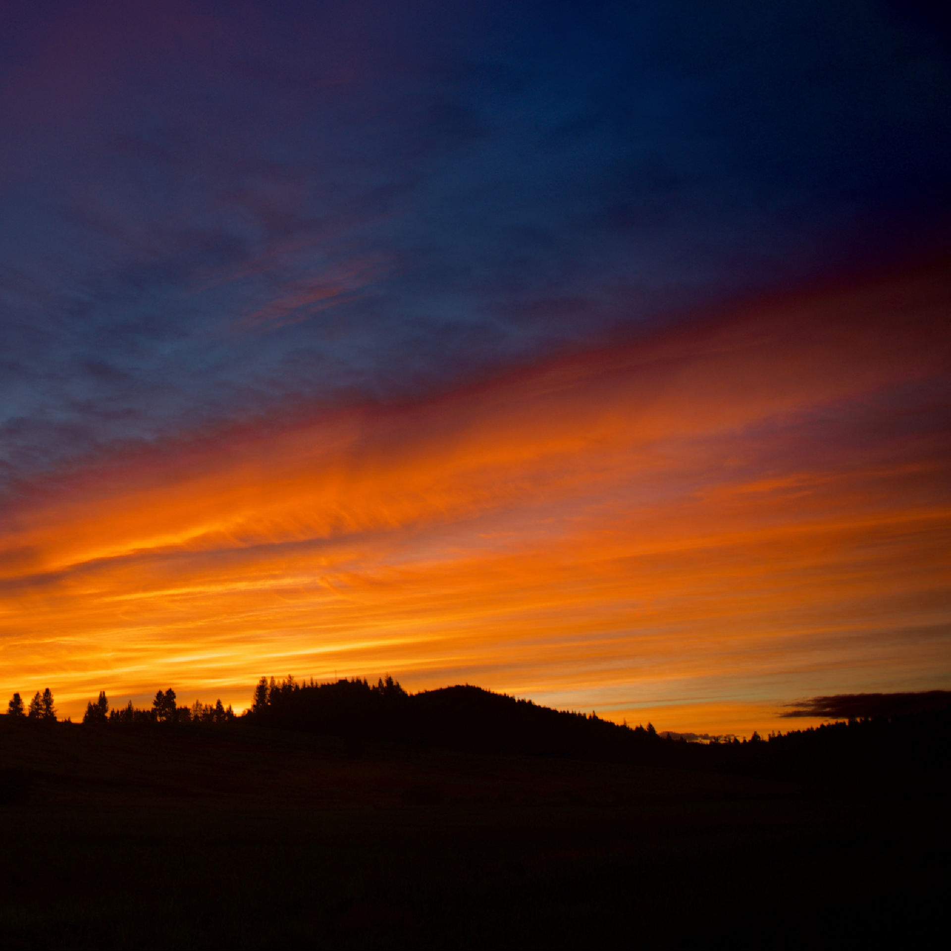 Glenn Meadow Estates Caldwell, ID | 55+ Community