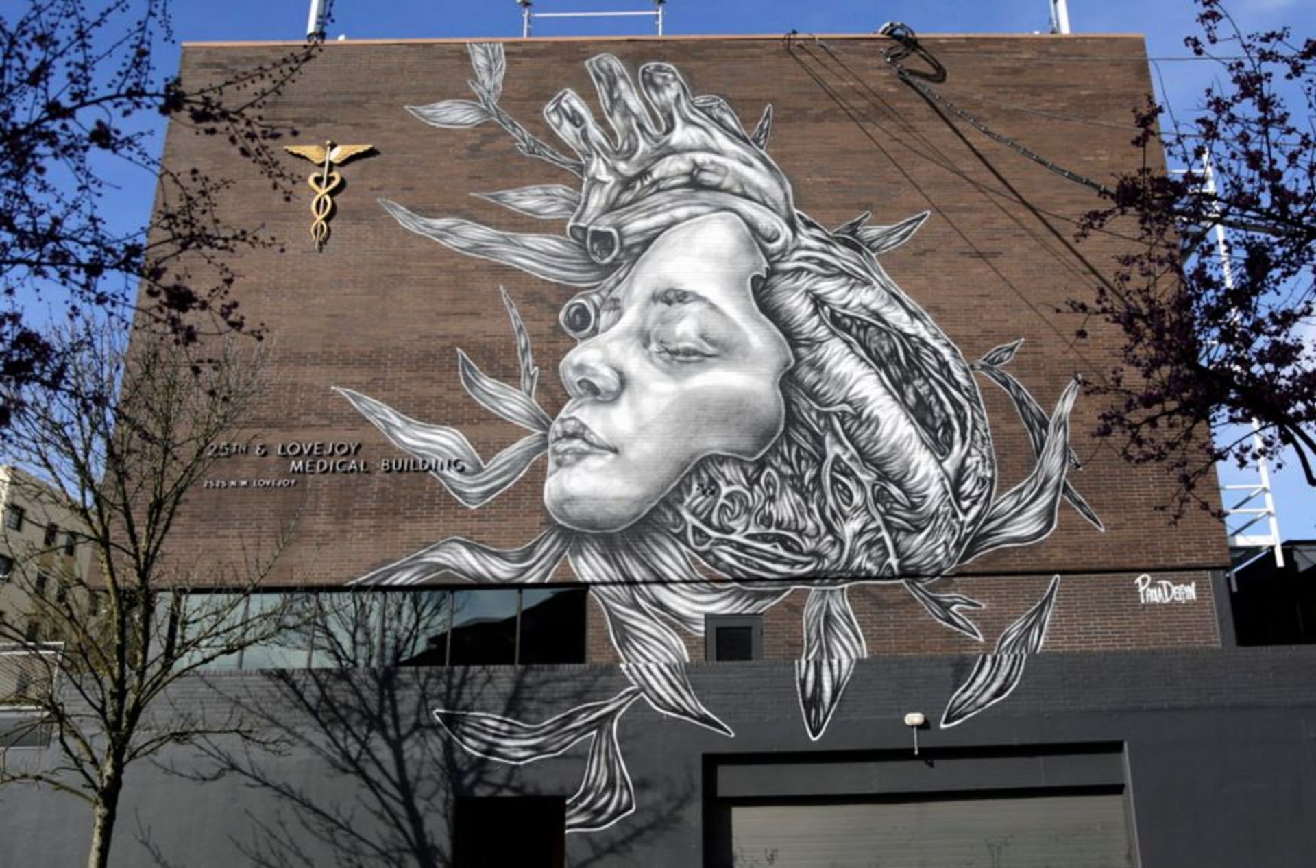 As Art Galleries Close Artist Turn To Street Murals To Keep Working