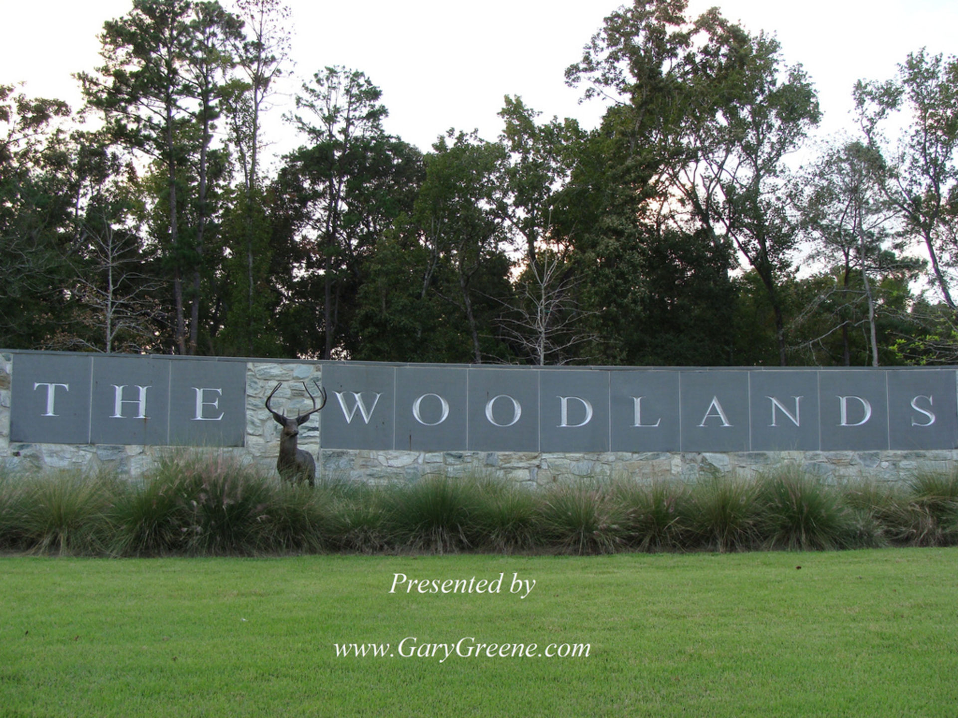 The Woodlands