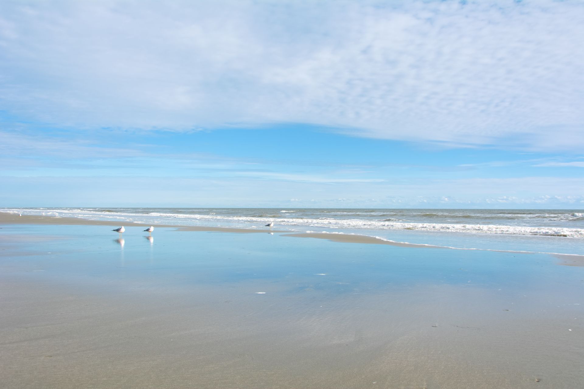 Brunswick County in NC real estate listings for homes, condos