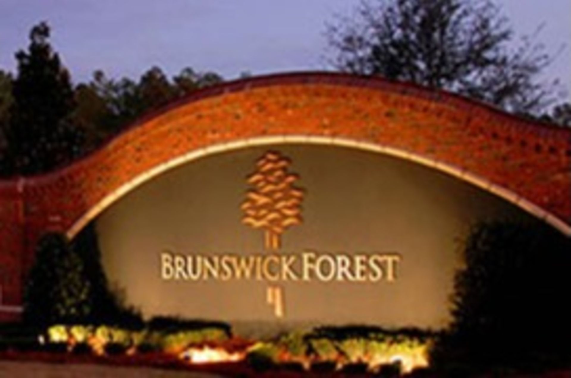 Brunswick Forest n Leland NC Ocean Isle Beach Top Selling REALTOR