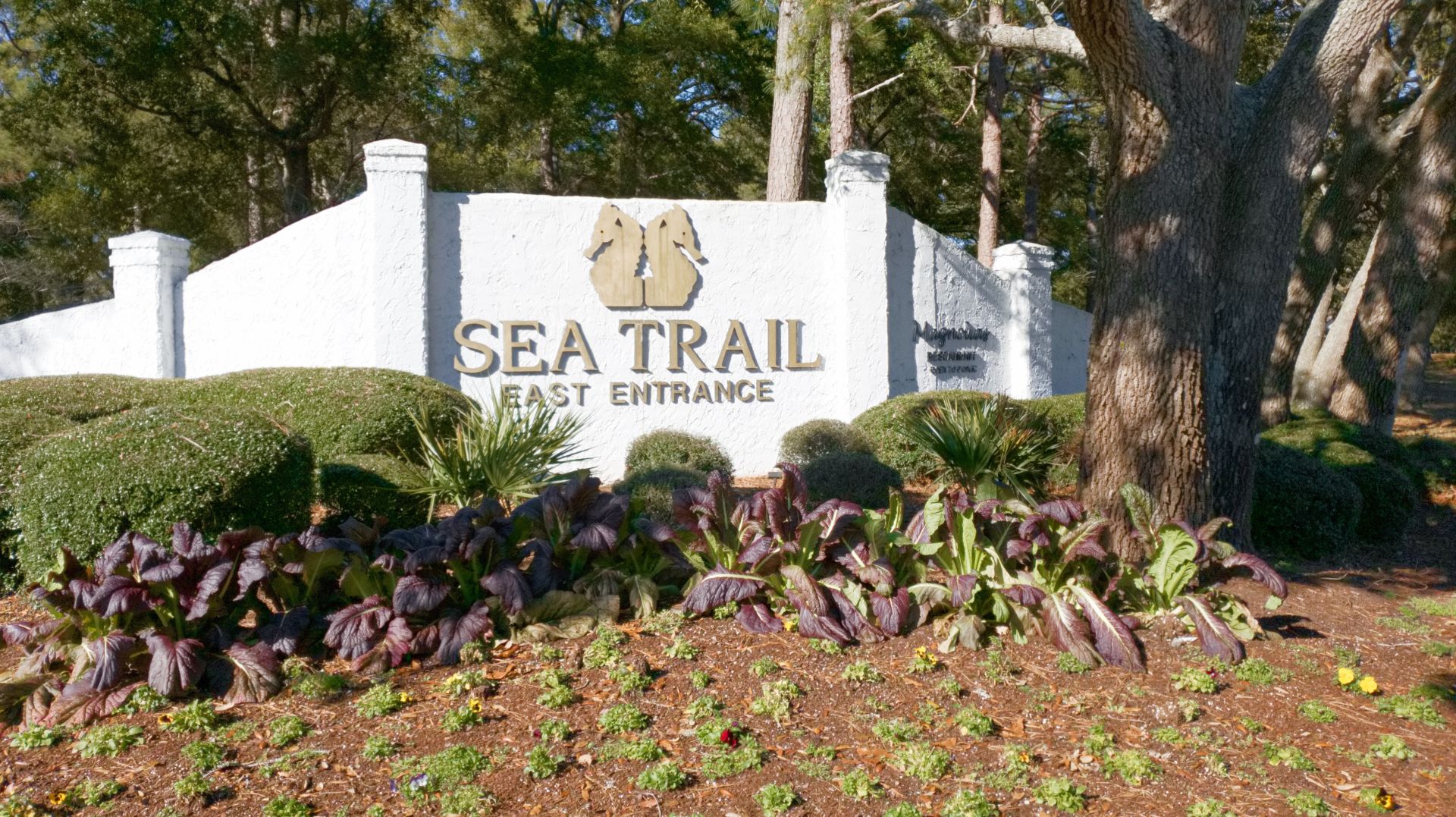 Sea Trail Plantation Condo and Townhomes for Sale Ocean Isle Beach