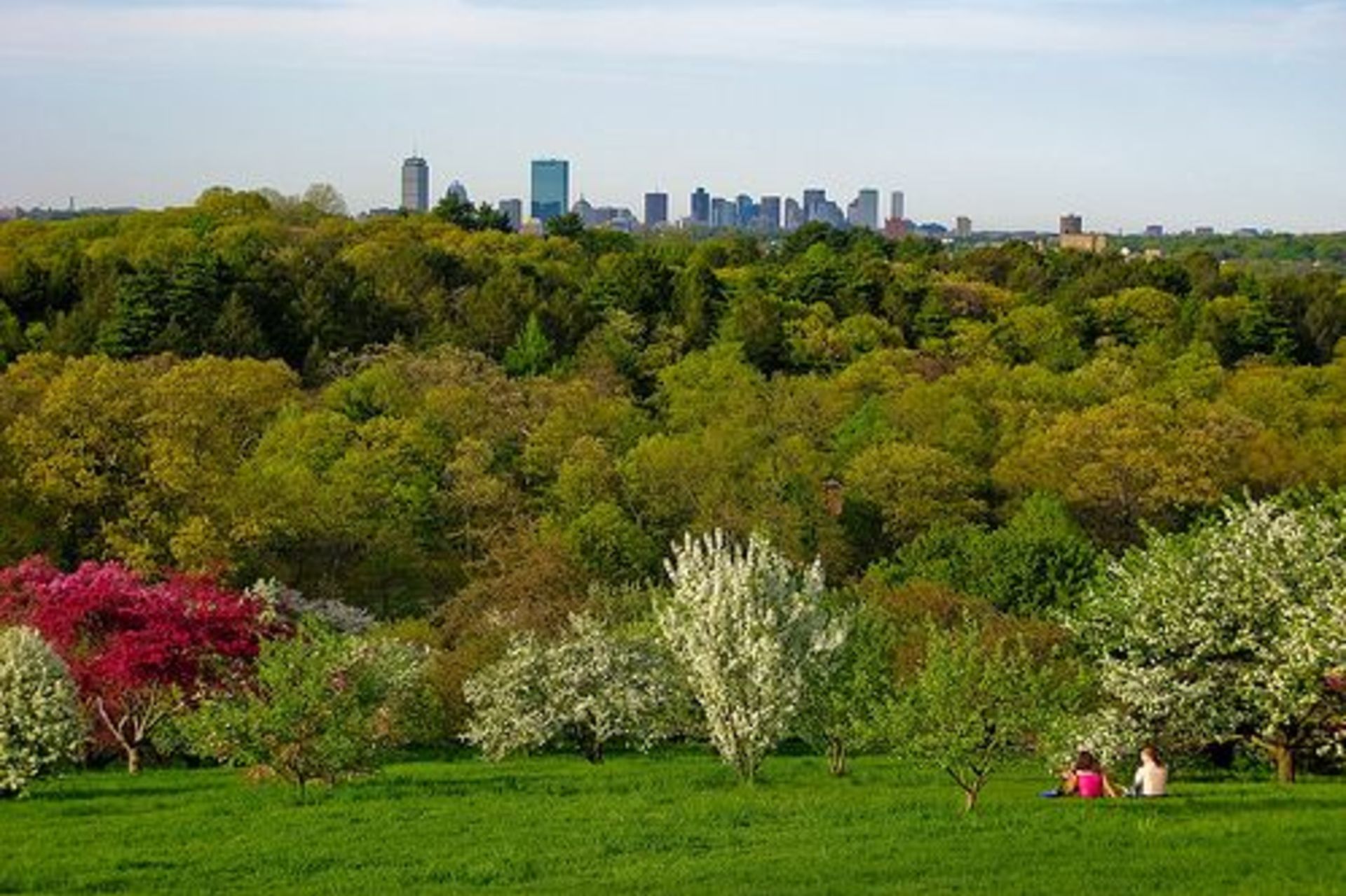 Roslindale