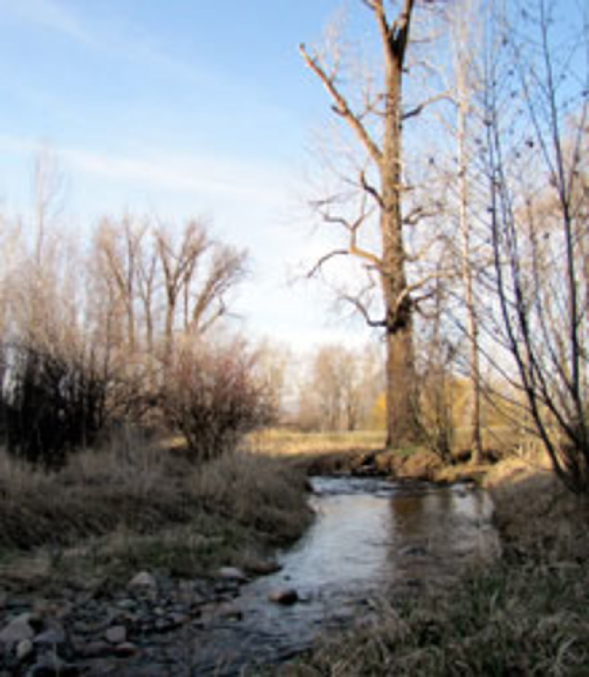 Grant Creek – Butler Creek
