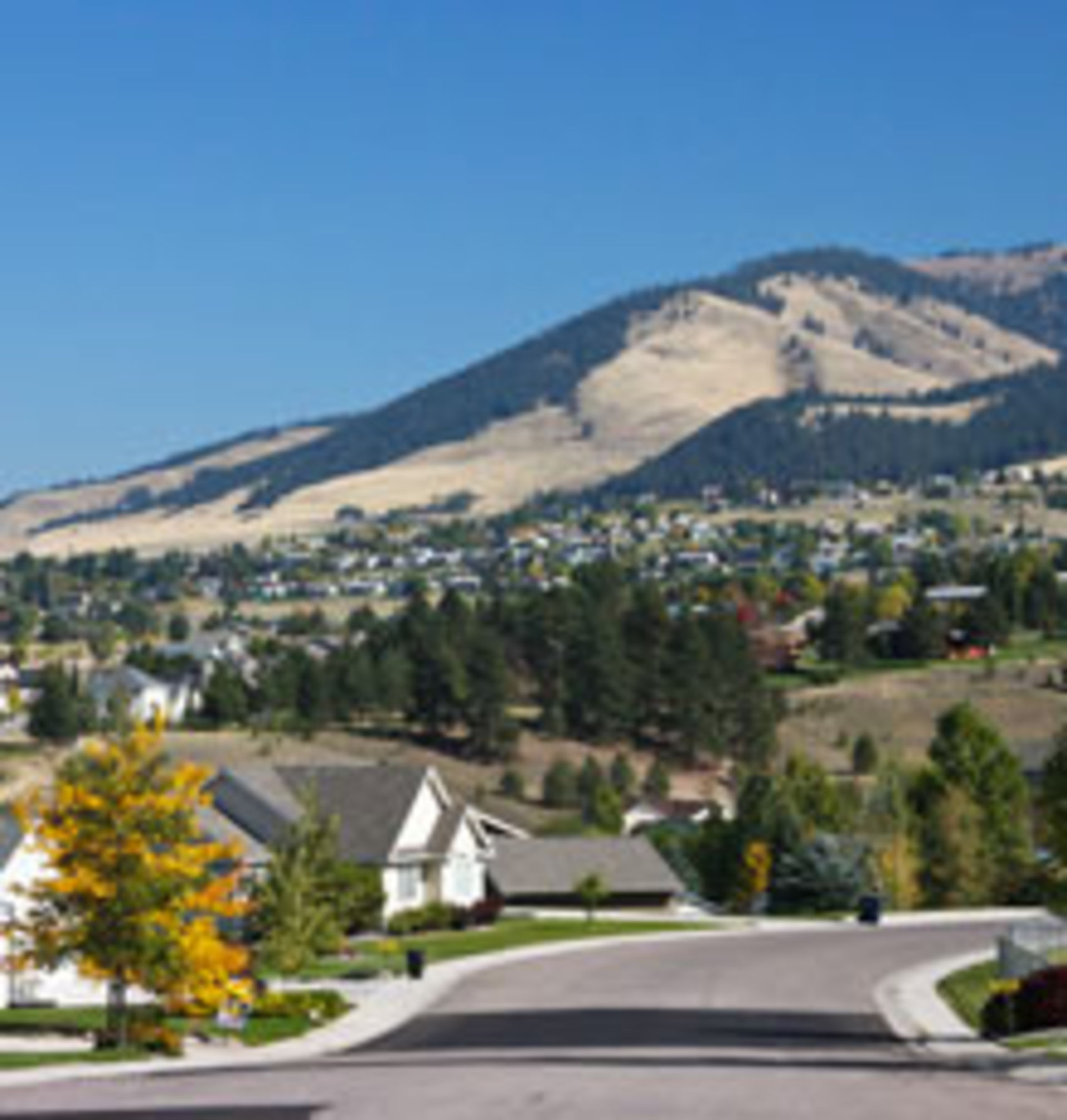 Miller Creek