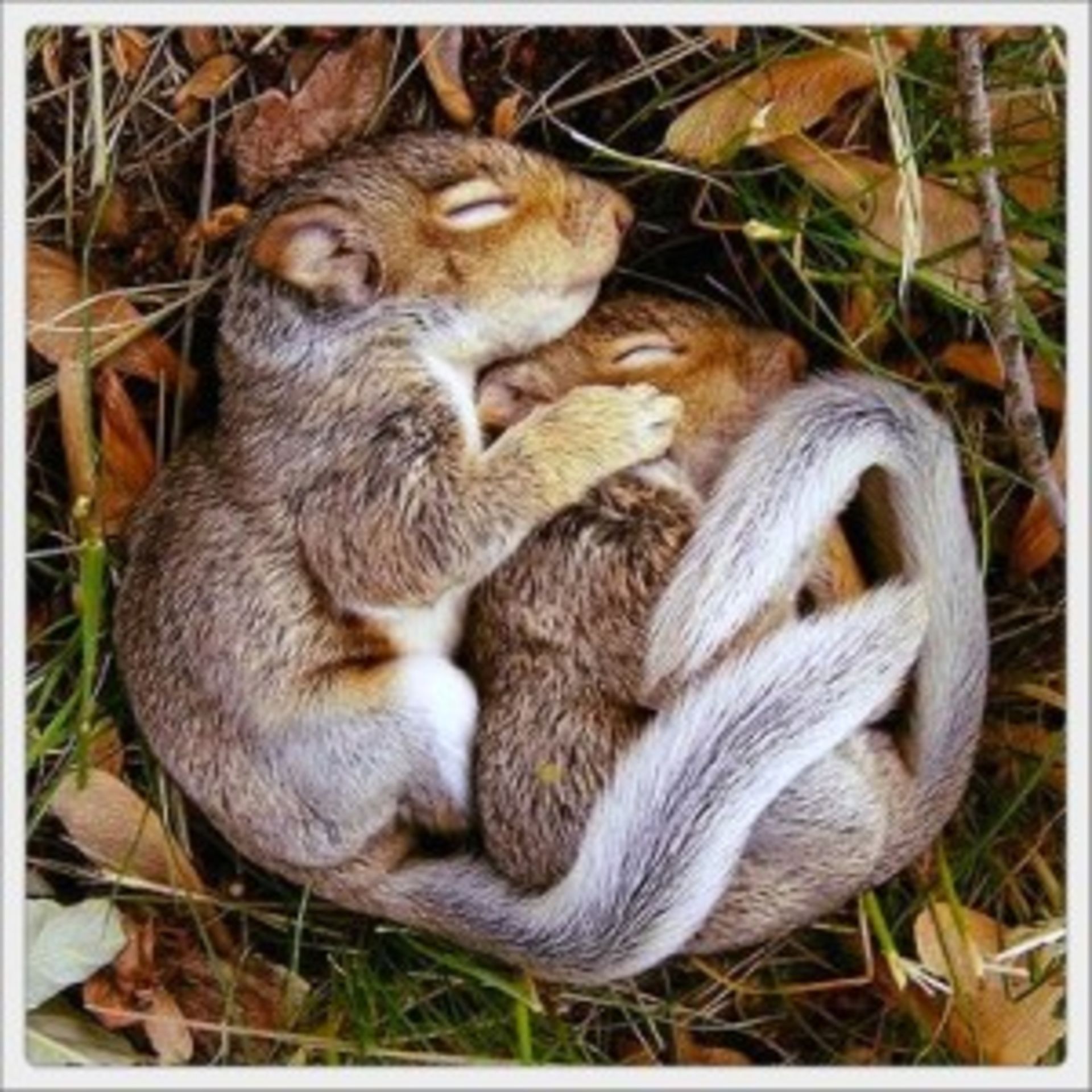 Winter Is Not The Time For Future Sellers To Hibernate