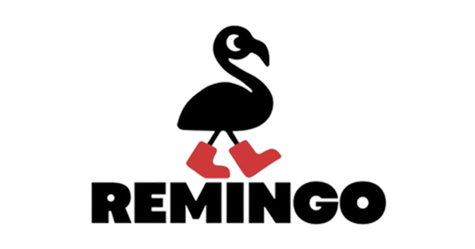 REMINGO - WE EXIST FOR THE BROKER