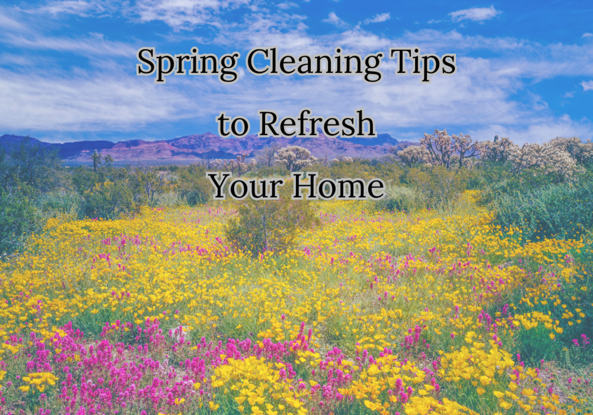 Five Spring Cleaning Tips to Refresh Your Home - Local Real Estate Experts