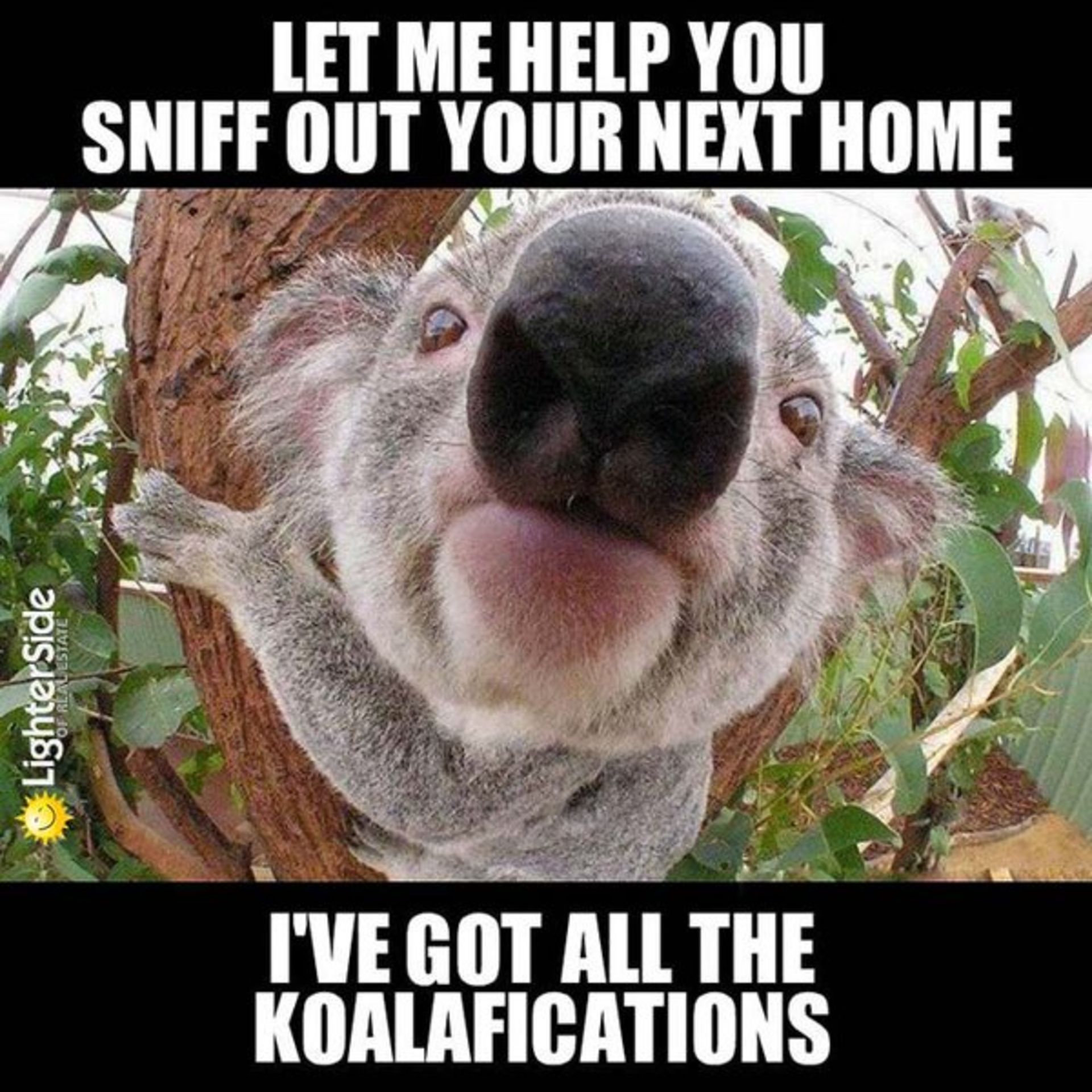 Let Me Help You Sniff Out Your Next Home Monica Raskob Homes Real Estate Group Copy