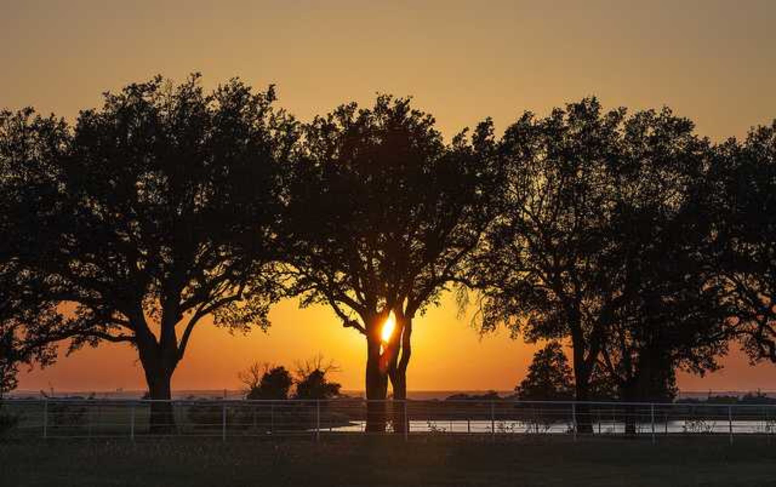 Cranes At Twilight Kendall Pruett >> Frisco Rachel Cahill Cranes At Twilight Kendall Pruett >> Frisco Rachel Cahill